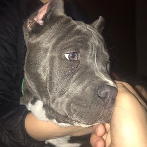 Meet your Posher, Evan